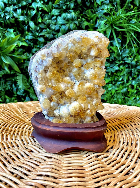 Citrine Crystal Cluster with Standing Wood Base #3