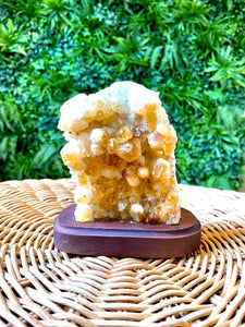 Citrine Crystal Cluster with Standing Base #2