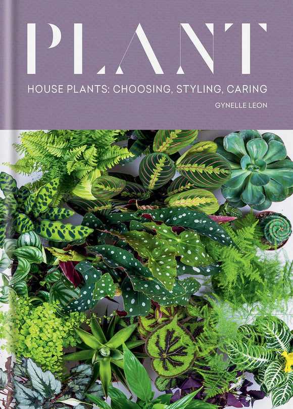 Plant: Choosing, Styling and Caring