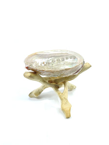 Abalone Shell with Tripod (4 inch)